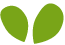 https://ceromil.in/wp-content/uploads/2022/04/green_leaf.png